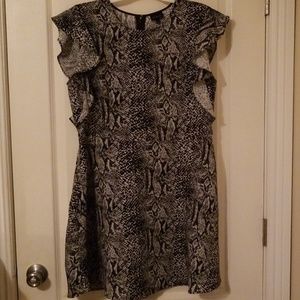 Animal Print Skater Dress